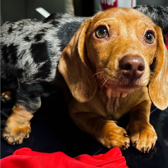 Hi Friend, I’m Christeena - Picture 10 of 16